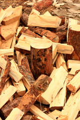 Fototapeta na wymiar chopped firewood logs