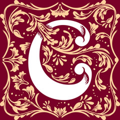 old vintage letter C
