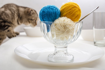 scottish fold cat and balls of wool yarn, which lie like ice cream dessert