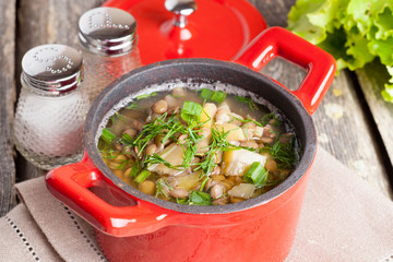 vegetable soup with lentils, close-up