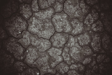 Surface of a grungy dry cracking parched earth for textural back