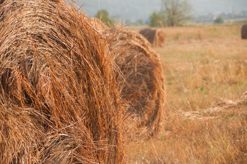 Summer Farm Scenery with Haystack. Agriculture Concept.