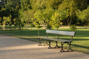 Wooden bench in summer park