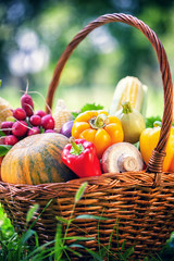 Basket With Fresh Organic Vegetables