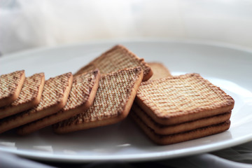 biscuit