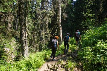 Obraz premium Hikers on the mountain trail