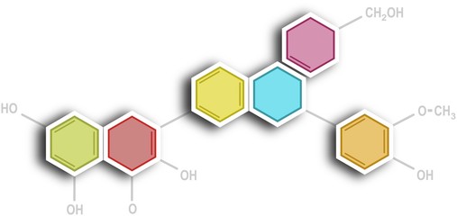 Hexagonal organic chemistry formula infographic chart - obrazy, fototapety, plakaty