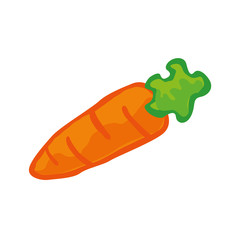 Orange carrots vector illustration