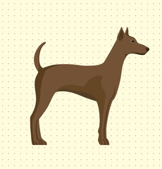 Brown Dog, Vector Illustration