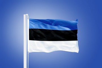 Flag of Estonia flying against a blue sky