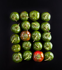 group hot pepper
