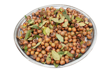 medlar