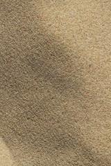 Background of sand.