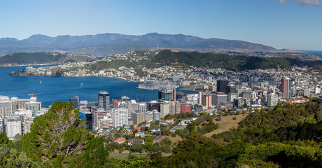 Fototapeta na wymiar Wellington City