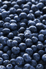 Blueberries background, close up, tasty and sweet