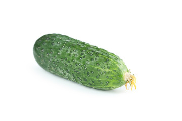 Fresh cucumber isolated on white