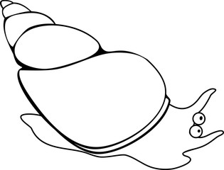 Coloring page freshwater snail