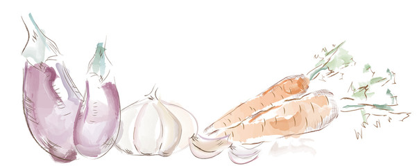  Vegetables. Garlic, aubergines and carrots