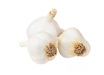 Fresh garlic vegetable, isolated on white background