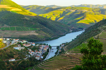river Douro valley, Portugal - 90466671