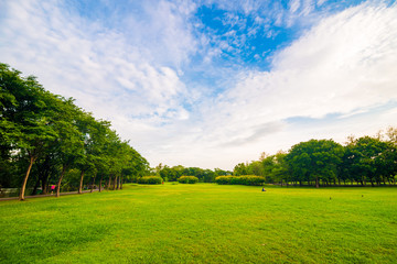 Green lawn on park field in Bangkok