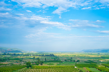 Farm Fields on Plain along Aegean Sea, Selcuk, Turkey