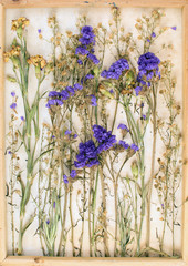 Vintage image of dried flowers in the canvas frame