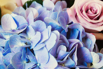 Blue Hydrangea and purple rose