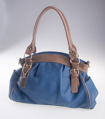 bag. women bag on a background