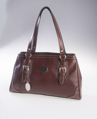 bag. women bag on a background