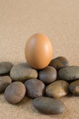 Fototapeta na wymiar brown chicken egg