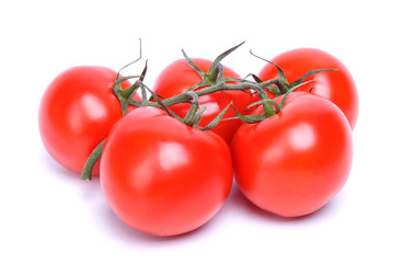 branch of tomatoes