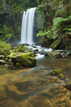 Rainforest waterfalls, Hopetoun Falls, Victoria, Australia.