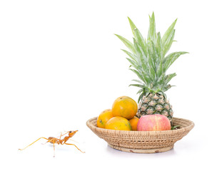 Ant looking some fruit in basket isolated white background.