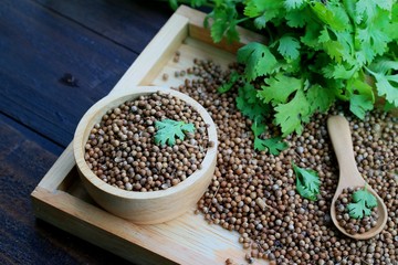 Fresh coriander and dried seeds