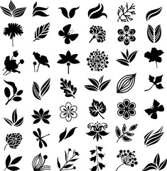 Natural collection
