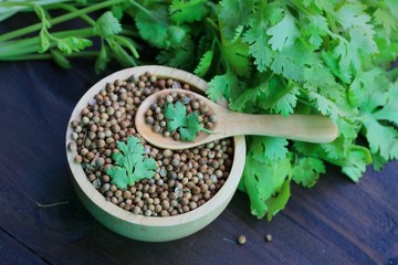 Fresh coriander and dried seeds