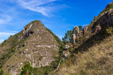''Cabeça de elefante''