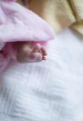 Obraz na płótnie Canvas Newborn baby feet close up