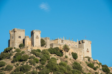 Fototapeta na wymiar Almodovar del Rio castle, Spain