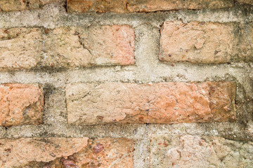 Fototapeta premium Old vintage brick wall for background