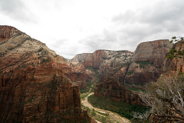 Zion National Park, Utah, USA