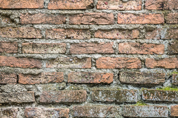 Old vintage brick wall for background