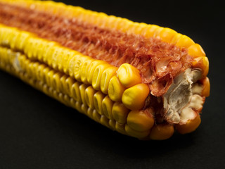 Corn on black