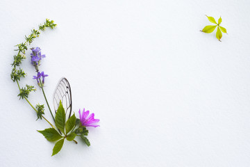 Sweet color, pastel tone, wild flowers with paper texture for the soft background