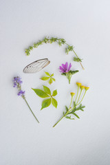 Sweet color, pastel tone, wild flowers with paper texture for the soft background