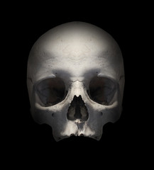 Human skull on black.