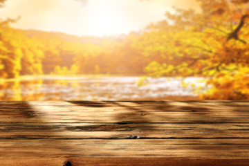 Obraz premium autumn background 