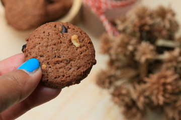 Chocolate chip cookies