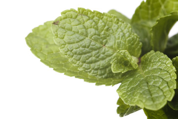 sprig of mint